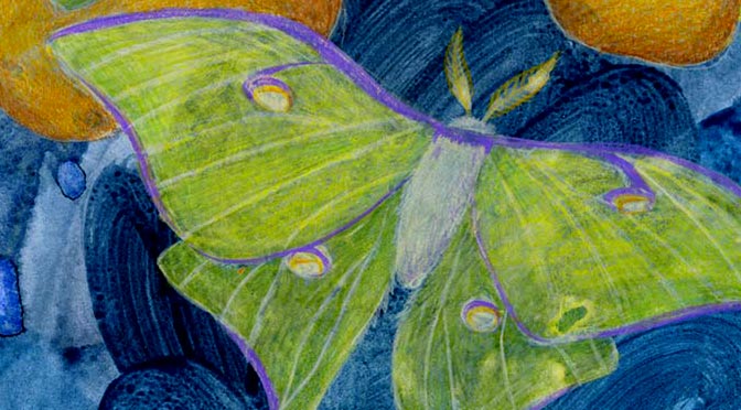 LUNA MOTH and PERSIMMON MOONS — Free Zoom Art Workshop, October 28th at 1 PM