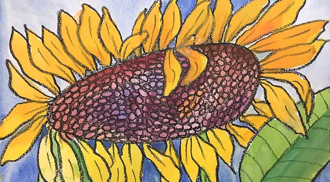 Pollinators in Action – Sunflowers. Free Live ZOOM Art Workshop. Febr. 7th, 2024 at 5 PM.