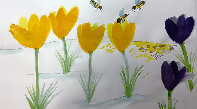 Wildflowers for Pollinators. Free Live Zoom Art Workshop. Wednesday 3/13/2024 at 5:00 PM